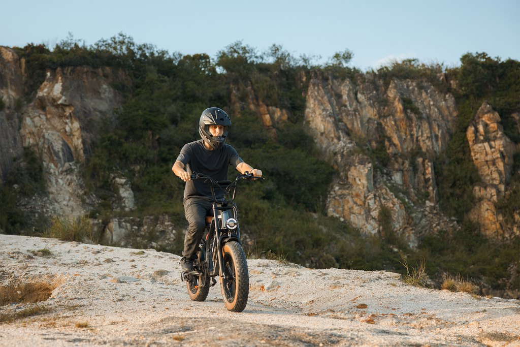 HappyRun Trekking E-Bike Kaufen Pedelec Elektrofahrrädern Tank G60