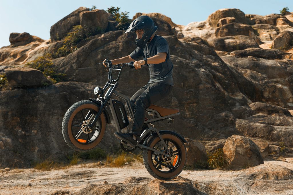 HappyRun Trekking E-Bike Kaufen Pedelec Elektrofahrrädern Tank G60