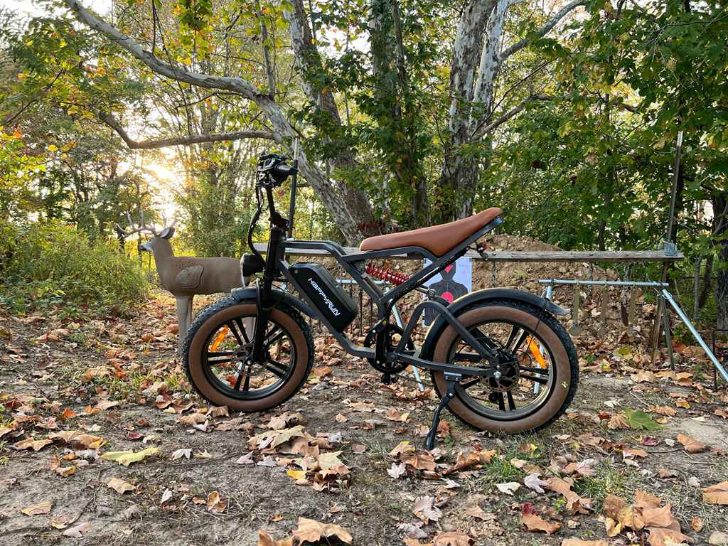 HappyRun Trekking E-Bike Kaufen Pedelec Elektrofahrrädern Tank G60