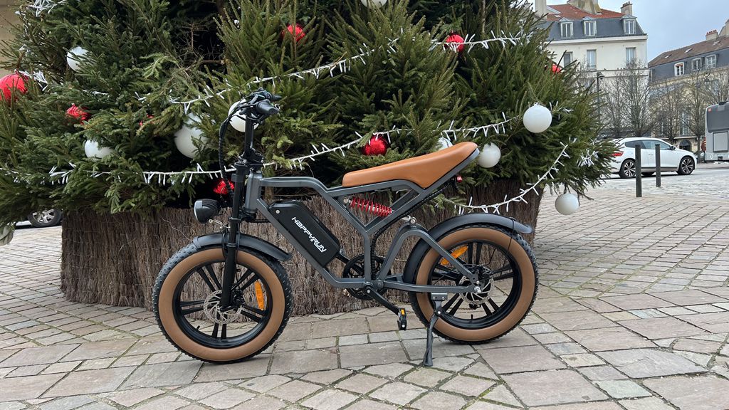 HappyRun Trekking E-Bike Kaufen Pedelec Elektrofahrrädern Tank G60