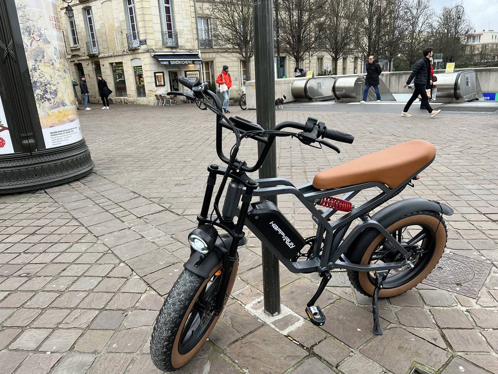 HappyRun Trekking E-Bike Kaufen Pedelec Elektrofahrrädern Tank G60