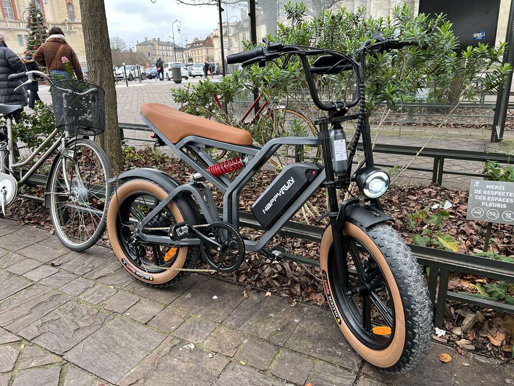 HappyRun Trekking E-Bike Kaufen Pedelec Elektrofahrrädern Tank G60