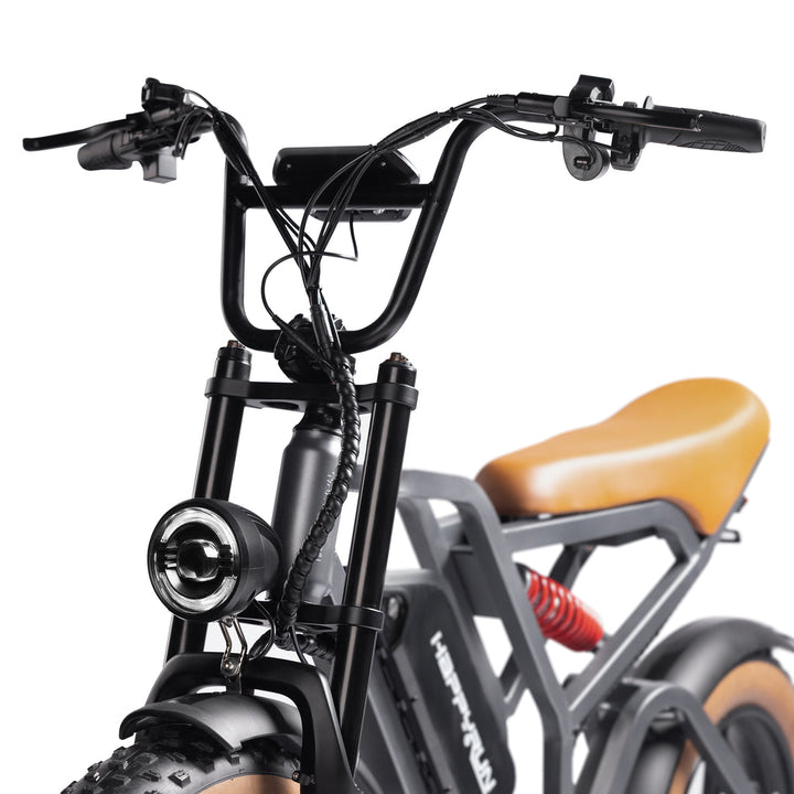 Trekking E-Bike Kaufen Pedelec Elektrofahrrädern Tank G60