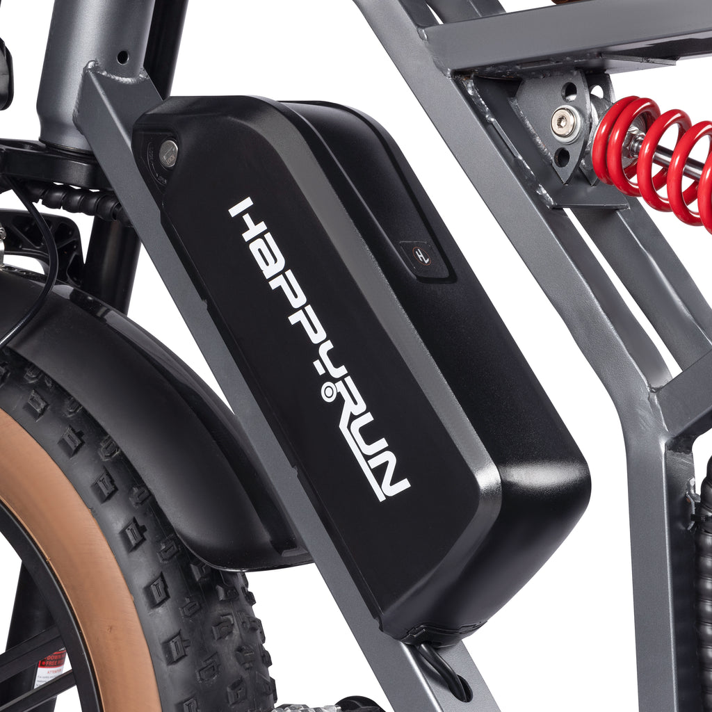 Trekking E-Bike Kaufen Pedelec Elektrofahrrädern Tank G60