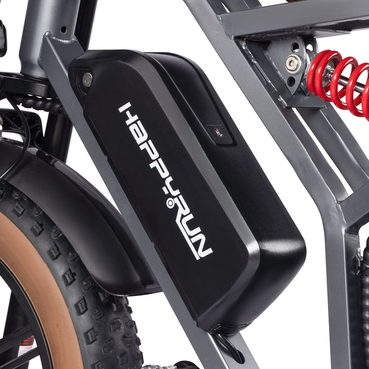 Trekking E-Bike Kaufen Pedelec Elektrofahrrädern Tank G60